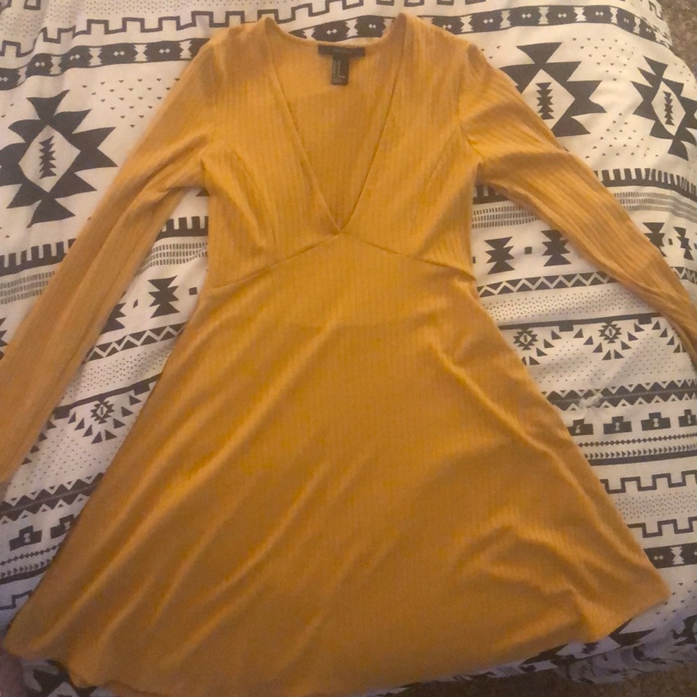 Long Sleeved V-cut Dress